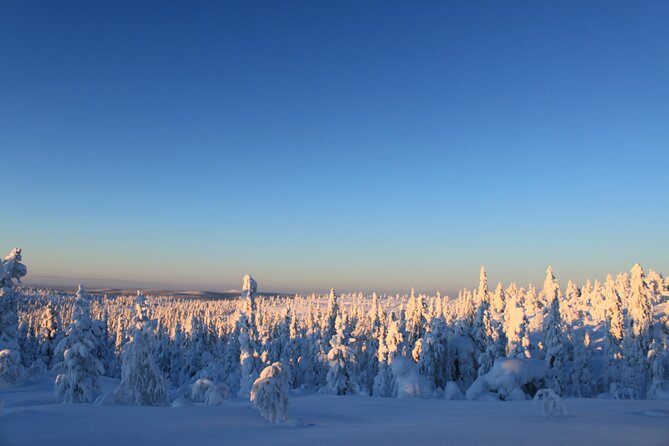 Snowshoe in a Winter Forest - Languages and group dynamics that keep it friendly