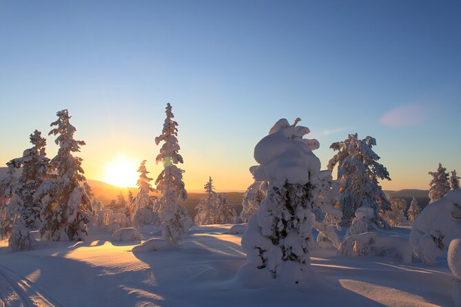 Snowshoe in a Winter Forest - Kiruna and Sami culture, told through real local context