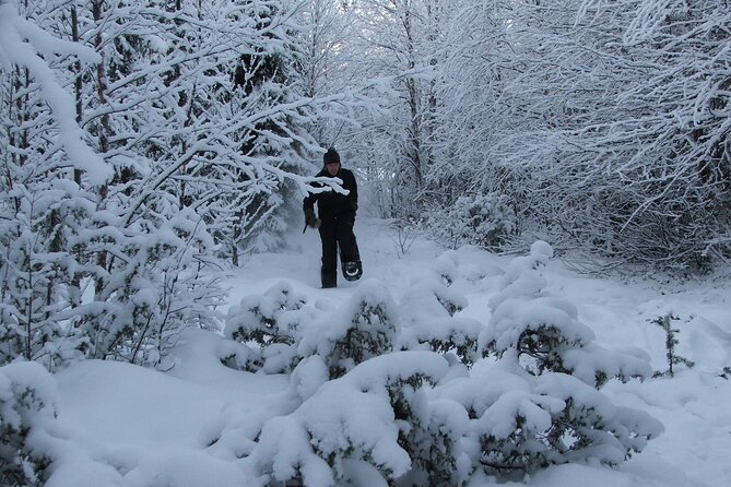 Snowshoe in a Winter Forest - Pickup around Kiruna is the easy part