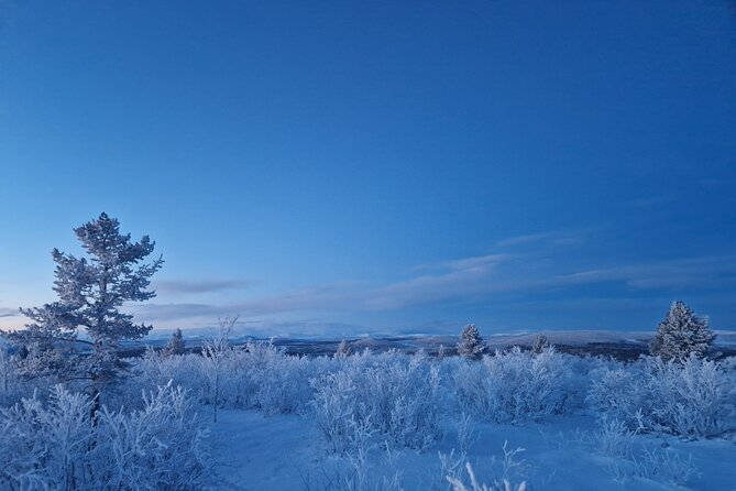 Snowshoe up a Mountain - Meeting your guide: why Anders changes the whole experience