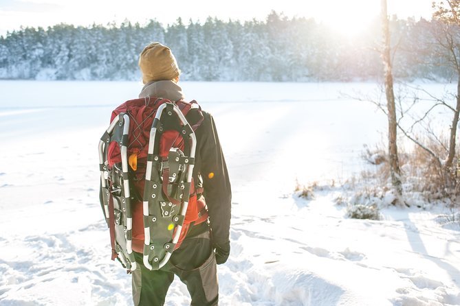 Snowshoe Winter Hike from Stockholm - Key things to know before you go