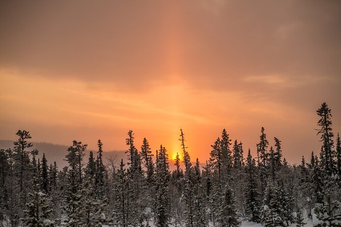 Snowshoe Winter Hike from Stockholm - What to wear and what to watch for (so you enjoy it)