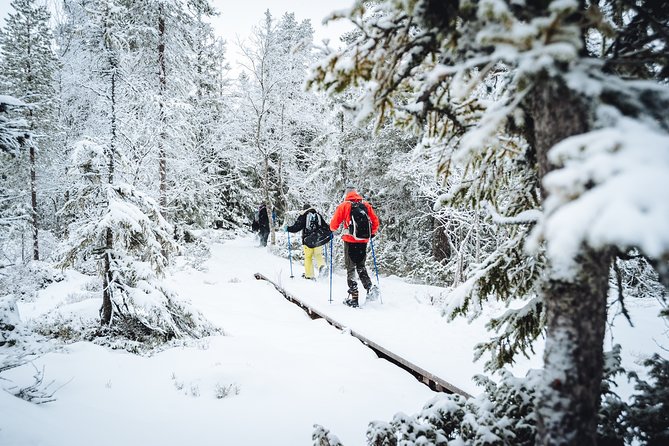 Snowshoe Winter Hike from Stockholm - The guided hike through Stockholm’s parks and nature reserves