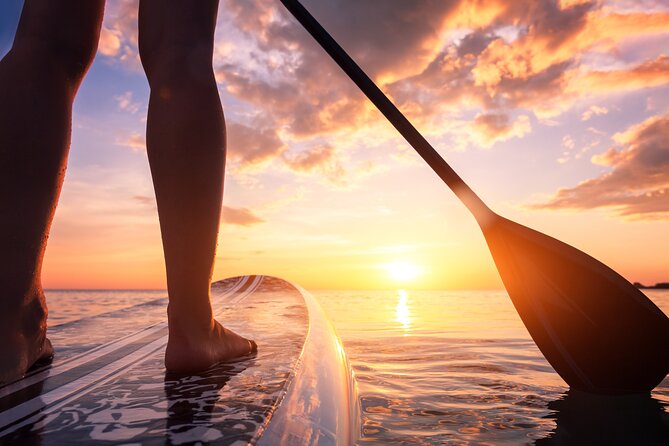 Stand up Paddling in Central Stockholm - Why Stockholm SUP feels like more than a summer activity