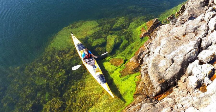 Stockholm: 1, 2, or 3-Day Kayaking Tour in the Archipelago - Your first day out: training, pacing, and finding your rhythm