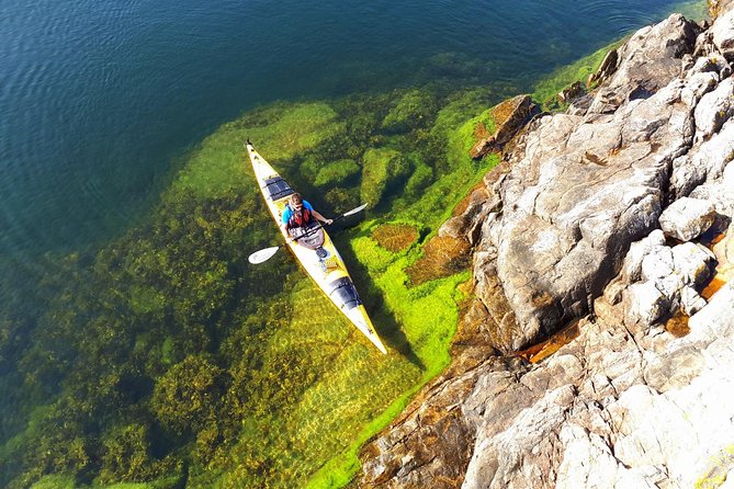 Stockholm Archipelago Kayaking Day Tour - Key highlights worth packing your day around