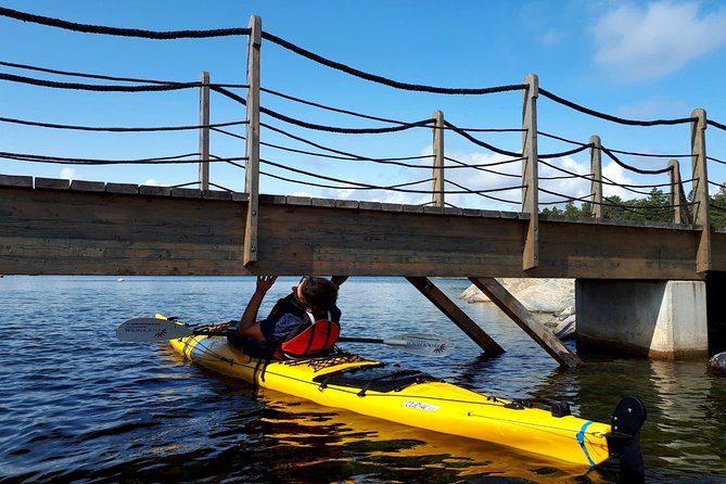 Stockholm Archipelago Kayaking Day Tour - The out-of-the-way island stop, lunch on rock, and a mid-trip dip