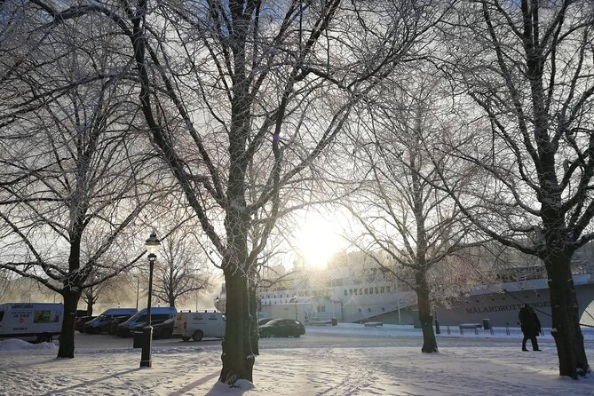 Stockholm Christmas Tour and Food Tasting Experience - Small-Group Experience: Why It Feels Cozier Than Big Bus Tours