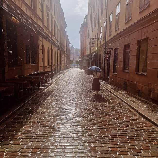 Stockholm City: Visit Icebar and Vasamuseum - Vasamuseet: the Wasa ship and the story around Djurgården