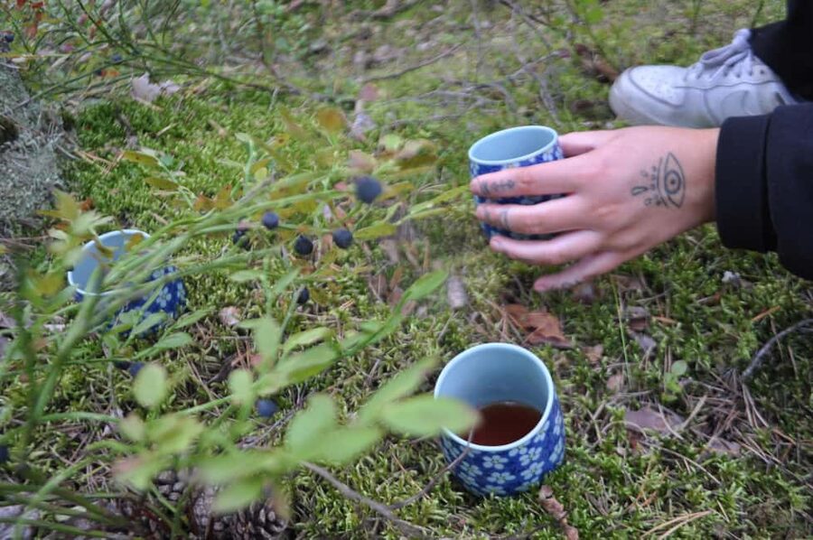 Stockholm: Dog Walk in Nature Reserve with Swedish Fika - Key moments worth your time