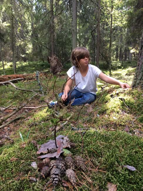 Stockholm: Dog Walk in Nature Reserve with Swedish Fika - Signe and Lavender: friendly Labradors as real nature partners