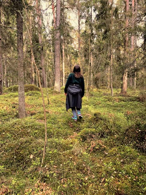 Stockholm: Dog Walk in Nature Reserve with Swedish Fika - Getting there fast: Högberga tram station made simple