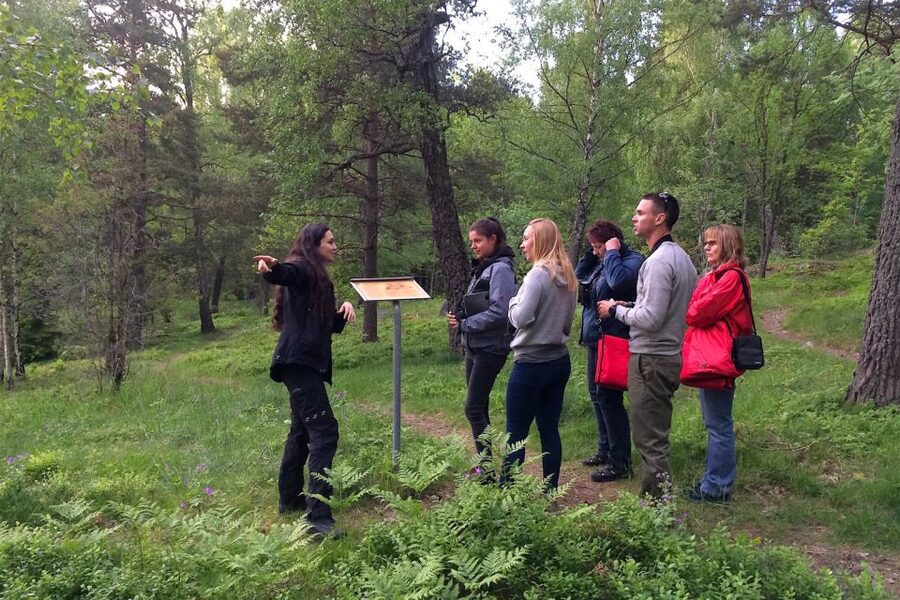 Stockholm: Evening Wildlife Safari with Midsummer Meal - Binoculars and the Unpredictable Part of Moose Watching