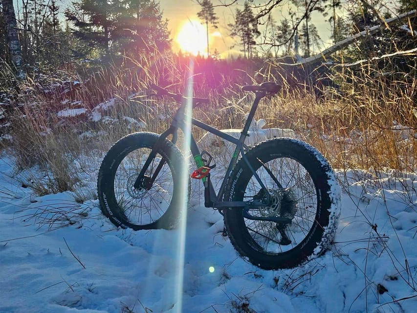 Stockholm: Fat Bike Forest Adventure with Lunch and Sauna - Key things to notice before you go