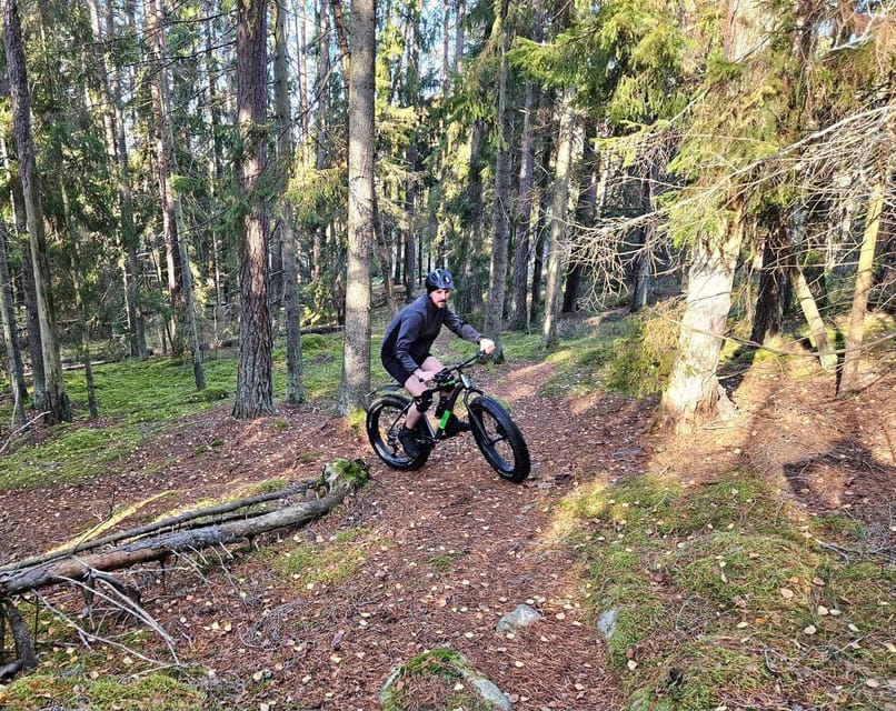 Stockholm: Fat Bike Forest Adventure with Lunch and Sauna - Break time and free time: when the forest actually gets to you