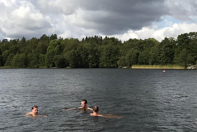 Stockholm Fire and Ice Tour! Dive into Swedish lifestyle! - Price and value: what $235 includes (and what that adds up to)