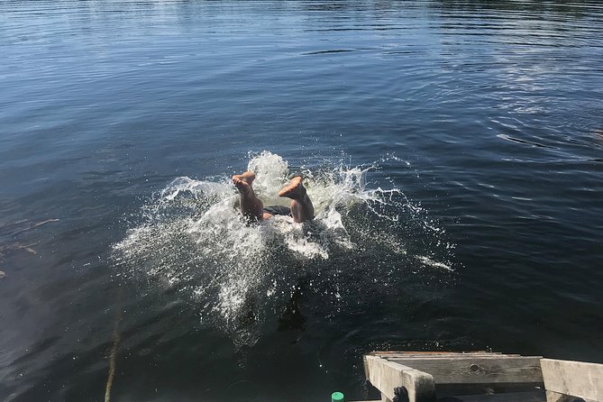 Stockholm Fire and Ice Tour! Dive into Swedish lifestyle! - Should you book the Stockholm Fire and Ice Tour?