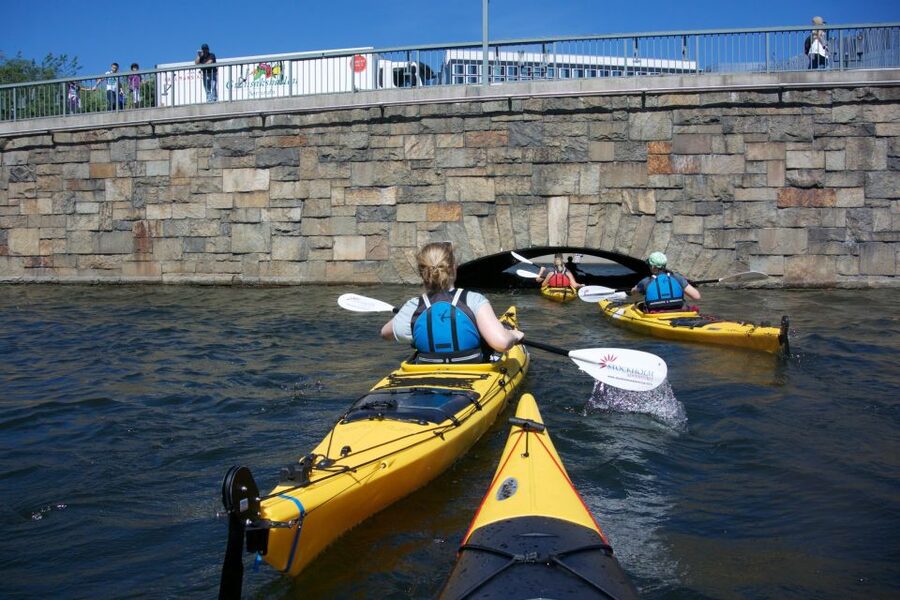 Stockholm: Guided Kayak City Tour & Optional Midsummer Meal - Who This Kayak Tour Suits Best (And Who Should Skip It)