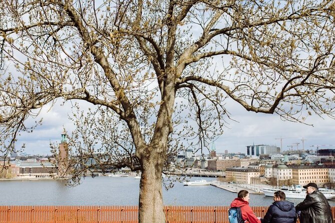 Stockholm Hidden Gem Tours by Locals: 100% Personalized & Private - Your host plans around your interests, then adapts on the move