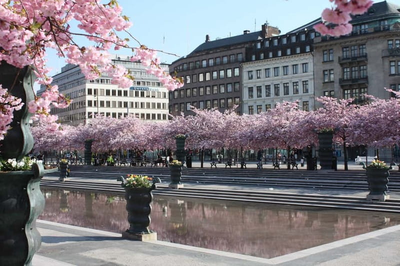 Stockholm: Highlights Guided Walking Tour - Svampen and the little iron boy: why the quirky stops matter