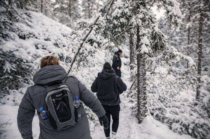 Stockholm: Hike, Forest Lunch and Cold-Water Floating - A Swedish Outdoors Day With Real Variety