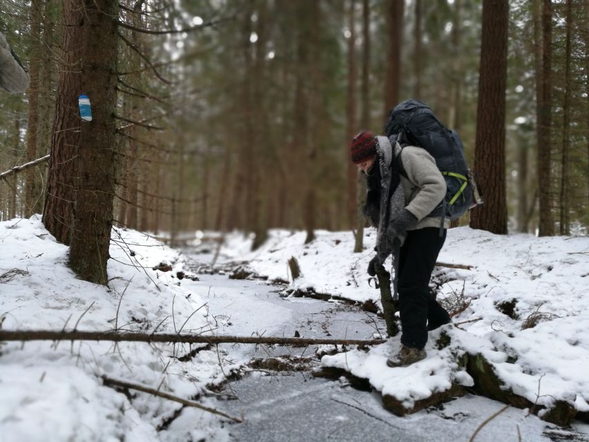 Stockholm: Nature Hike with Campfire Lunch - Key highlights you will actually feel