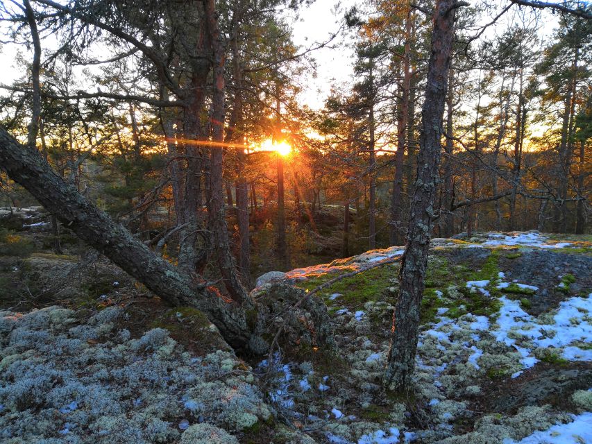 Stockholm: Nature Hike with Campfire Lunch - The campfire lunch and fika warm-up