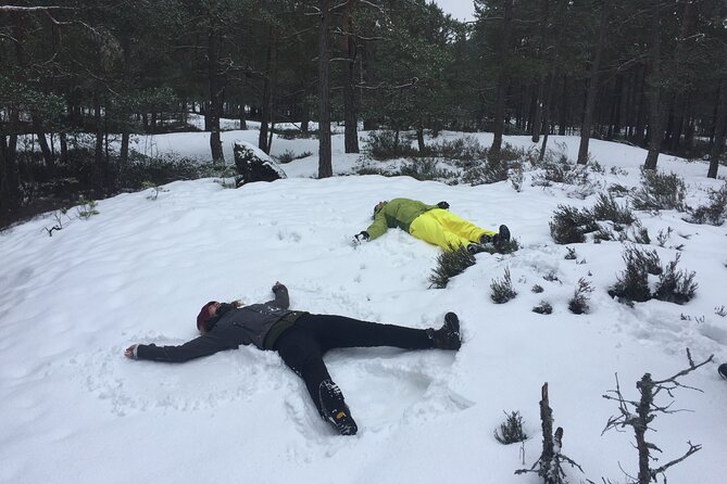 Stockholm: Nature Reserve Hiking Tour with Campfire Lunch - Key Things That Make This Tour Worth Your Time
