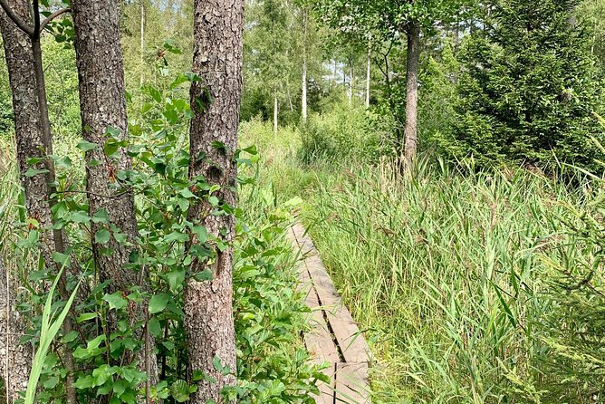 Stockholm: Nature Reserve Hiking Tour with Campfire Lunch - The Second Hike: More Cliffs, More Forest, Same Friendly Pace