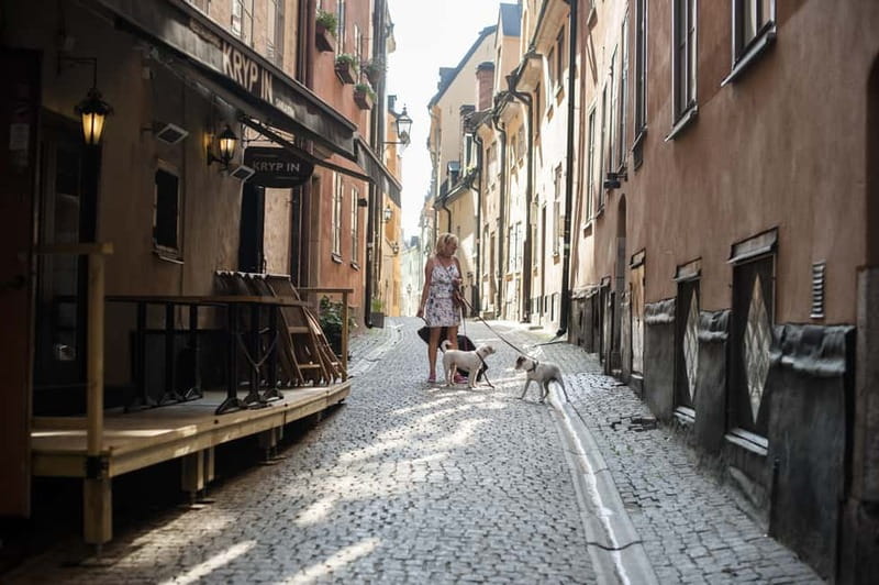 Stockholm: Old Town & Vasa Museum Skip-the-Line Private Tour - Royal Palace, Cathedral, and the “Wait, Really?” Moments