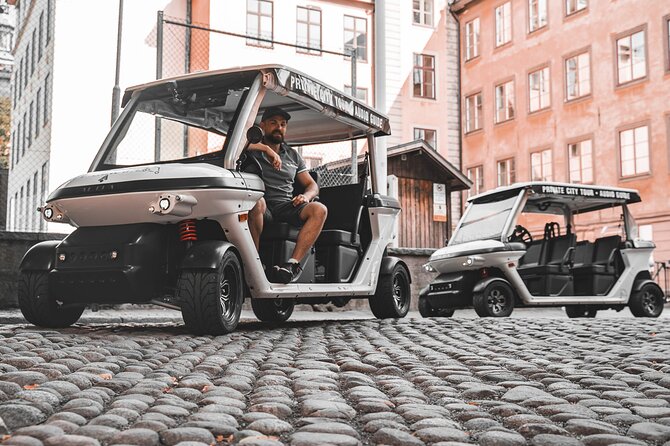 Stockholm Private Golf Cart Tours - Djurgården Culture Island: Vasa Museum, ABBA Museum, and Skansen