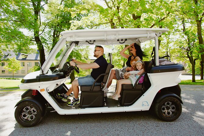 Stockholm Private Golf Cart Tours - Viewpoints That Make Stockholm Look Like a Postcard