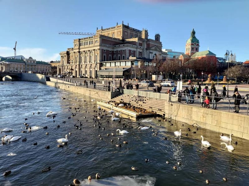 Stockholm: Private Guided Car Tour and Vasa Museum Entry - How a Private Car Tour Changes Your Stockholm Experience