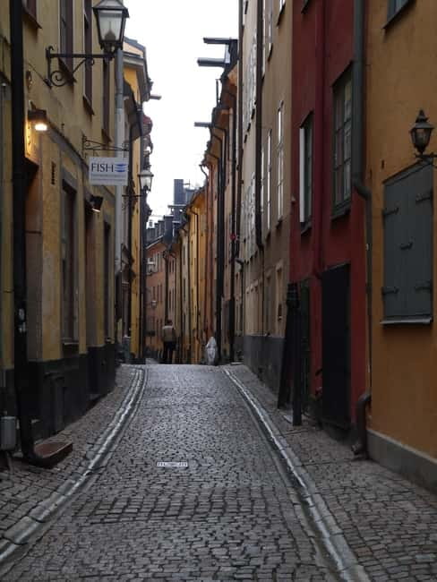 Stockholm: Private Guided Car Tour and Vasa Museum Entry - Personalization Inside a 3-Hour Window