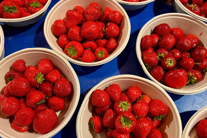 Stockholm Private Walking Food Tour - Guide impact: Nils and Didi set a high bar