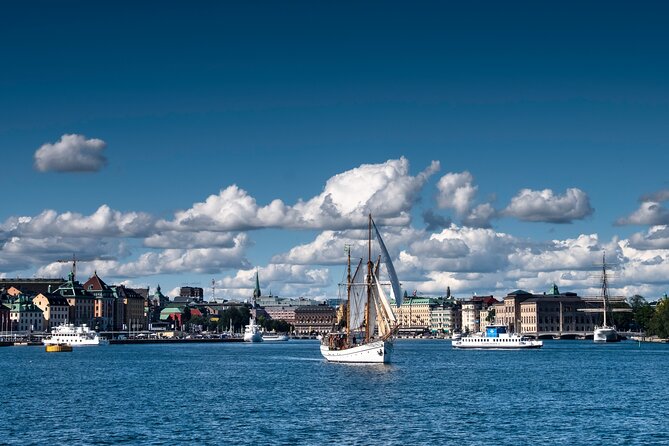 Stockholm’s Splendor: A 6-Hour Walk Through Culture & History - The guide experience: when Fer’s style matters