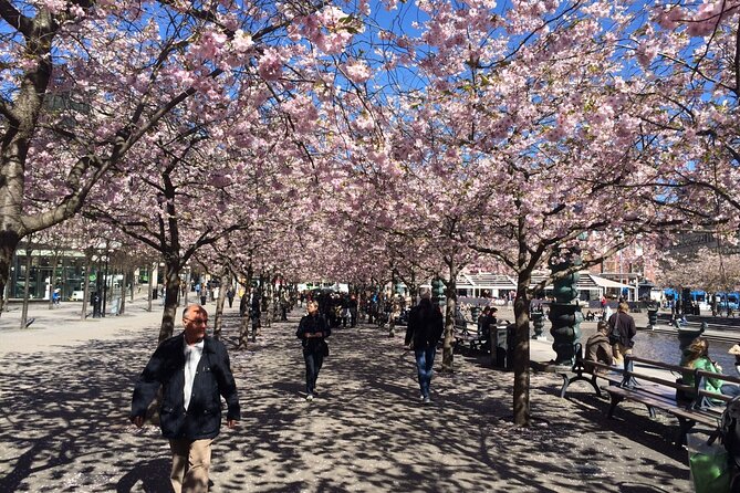 Stockholm Scavenger Hunt and Highlights Self Guided Audio Tour - Pricing and Value: Why This Costs So Little