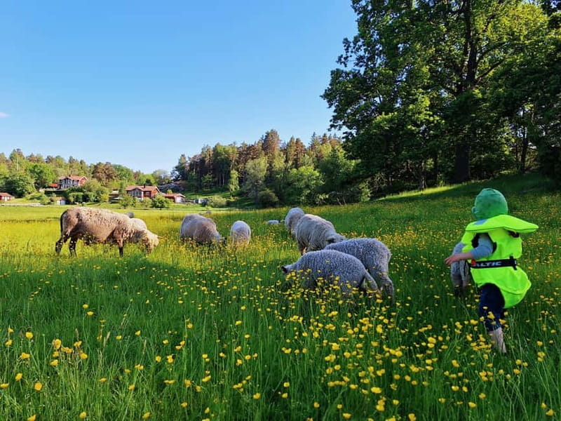 Stockholm: Self Guided Kayak Adventure in Nature Reserve - Timing, working hours, and getting the most out of 5 to 8 hours