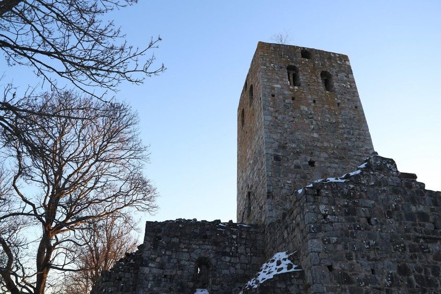 Stockholm: Sigtuna and Uppsala Viking History Day Tour - Key Viking History Moments You Will Actually Remember