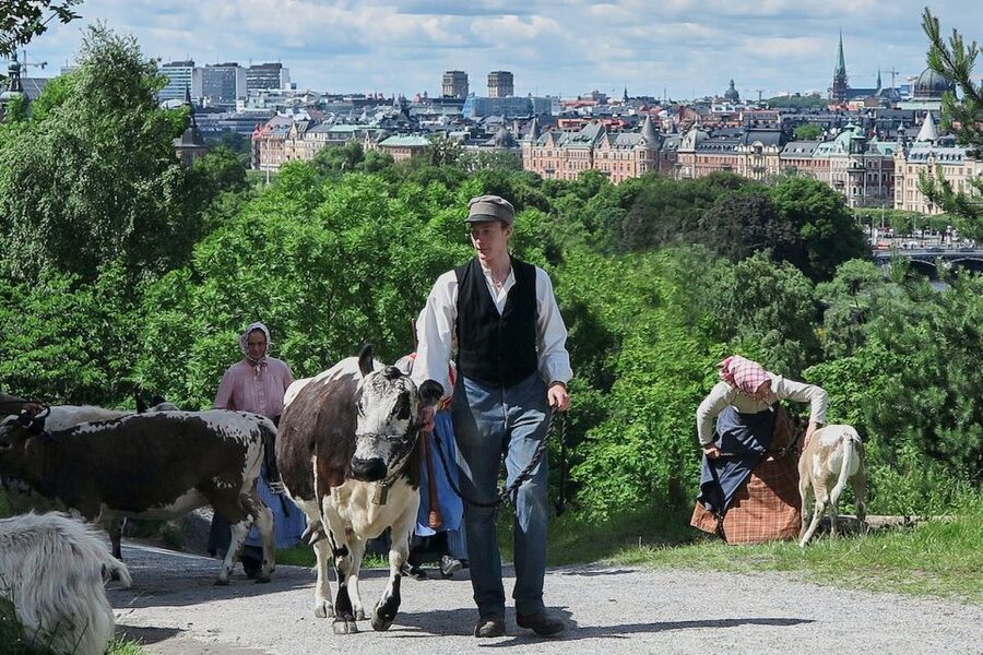 Stockholm: Skansen Open-Air Museum Admission Ticket - Key things to know before you go