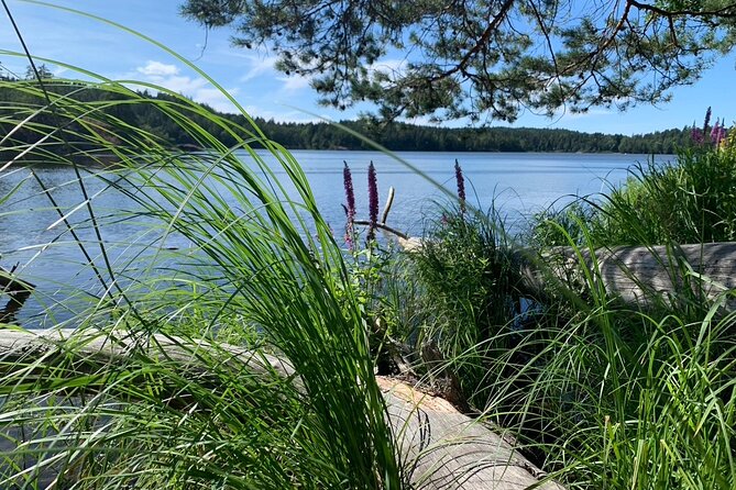 Stockholm: Sunset Hike in Tyresta National Park with Meal - Meeting at Gullmarsplan 2, and the bus rhythm that keeps it simple