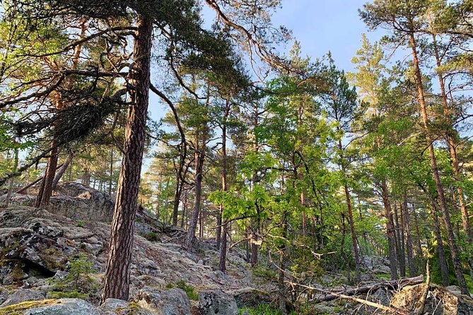 Stockholm: Sunset Hike in Tyresta National Park with Meal - Hiking in the dark without the stress of route-finding