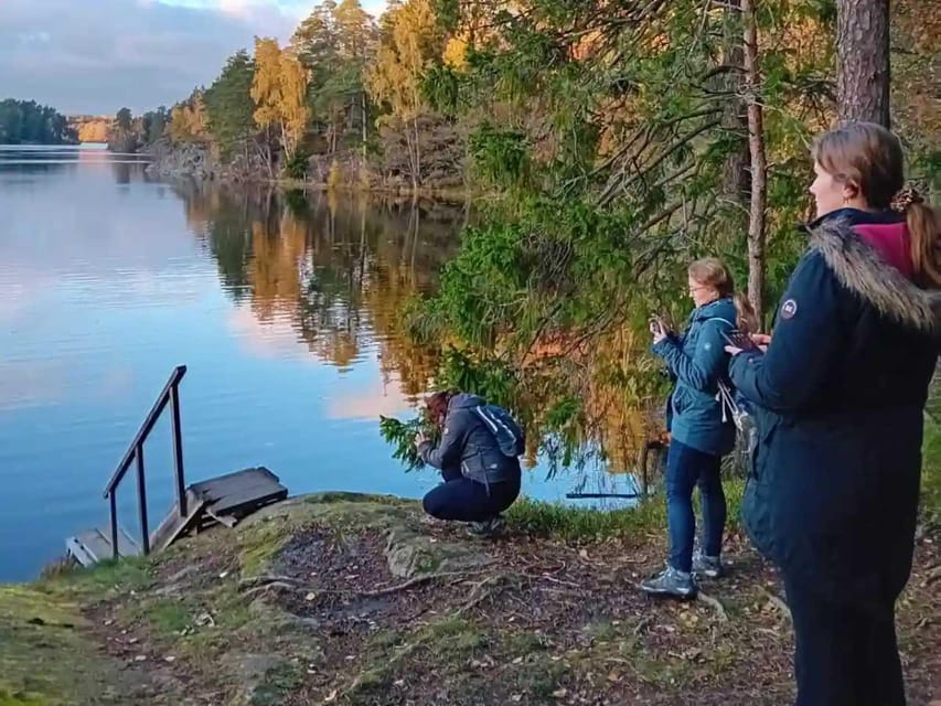 Stockholm: Sunset Hike in Tyresta National Park with Meal - Second hike in fading light: what you’ll notice in the dark