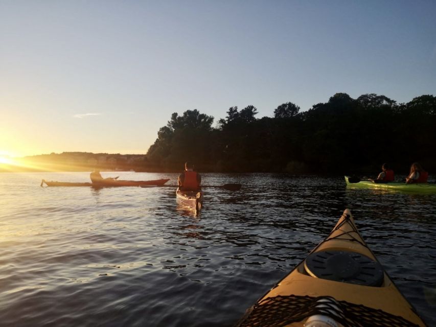 Stockholm: Sunset Kayak Tour in the City + Swedish Fika - Getting your bearings: how the pace works across the full 4 hours