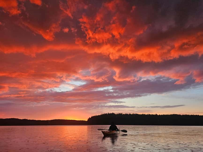 Stockholm: Sunset Kayak Tour on Lake Mälaren with Tea & Cake - Key points that make this sunset tour worth your time