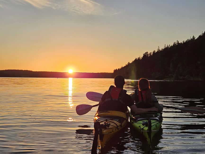 Stockholm: Sunset Kayak Tour on Lake Mälaren with Tea & Cake - Why Lake Mälaren at sunset feels like Stockholm done right