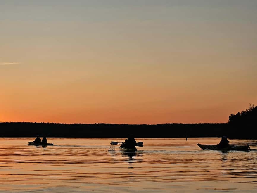 Stockholm: Sunset Kayak Tour on Lake Mälaren with Tea & Cake - Second paddle at sunset: twilight beaver chances and the perfect photo window