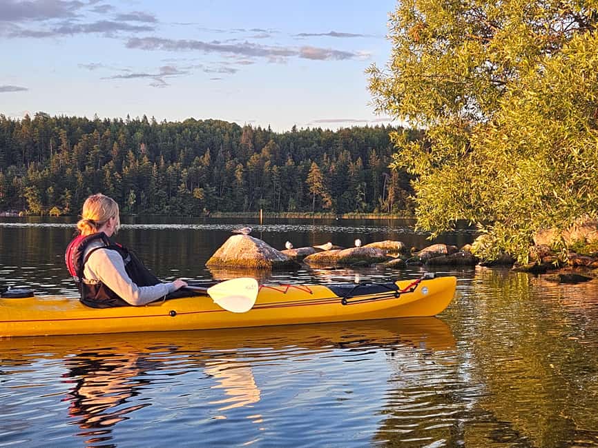 Stockholm: Sunset Kayak Tour on Lake Mälaren with Tea & Cake - The Mälaren valley history notes that actually fit the setting