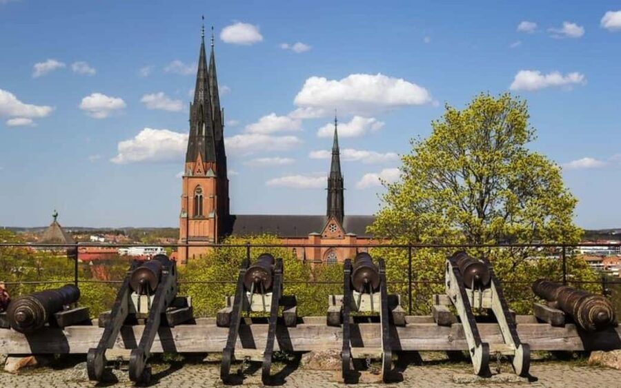 Stockholm: Uppsala Half-Day Swedish Oxford & Cathedral Tour - Price and Value: Why $29 Feels Fair for a Half-Day