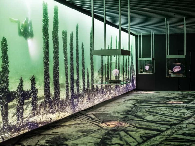 Stockholm: Vasa Museum and Vrak Museum of Wrecks Combo Entry - Food, coffee, and breaks: where to recharge